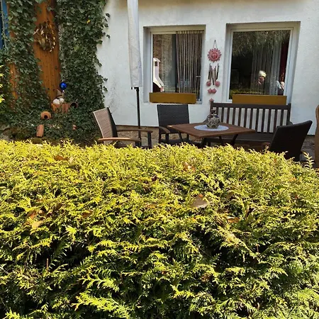 Idylle Am Pfaelzerwald Ihr Rueckzugsort In Wachenheim Appartement Wachenheim an der Weinstraße